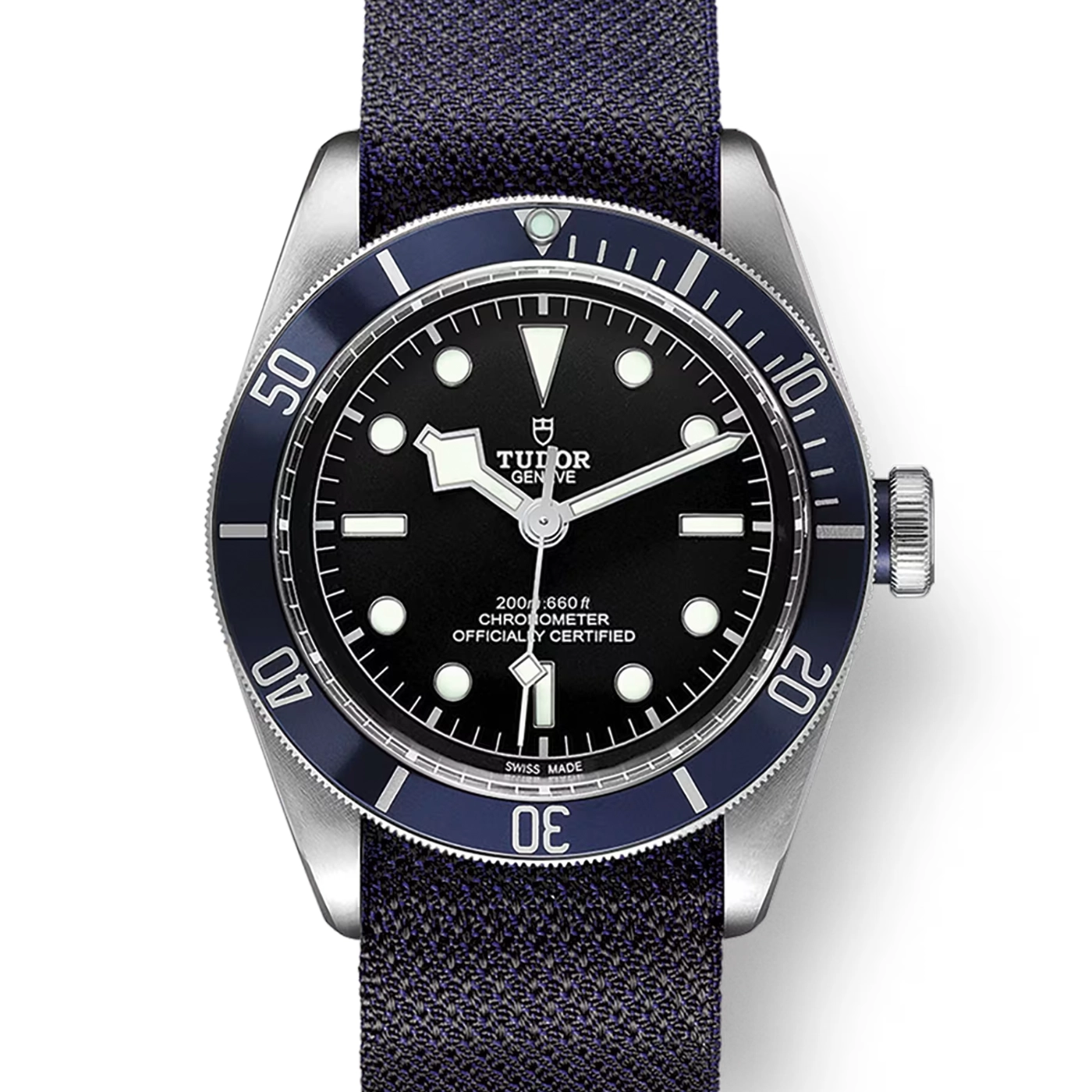 Tudor Black Bay